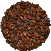 Chocolate Malt | Muntons